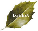 dehesa